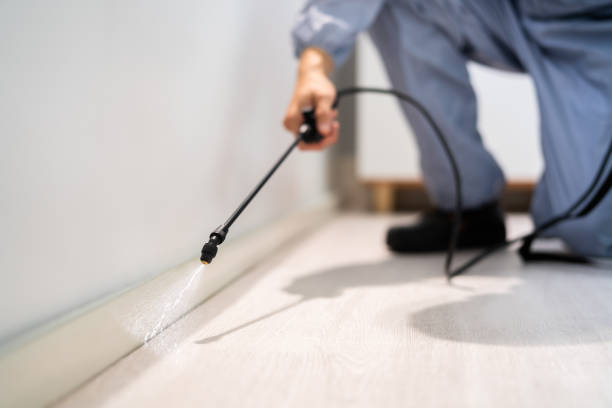Licensed Pest Control service in Goreville, IL - Show Me Pest Control