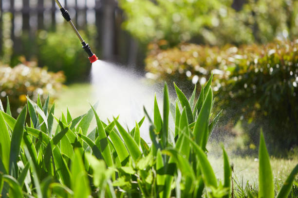 Tamper-Resistant Bait Stations for Rodents in Goreville