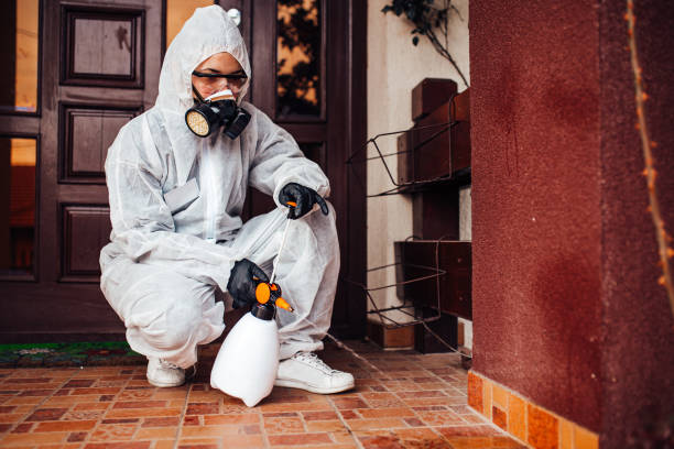 Attic and Crawl Space Rodent Treatment in Goreville