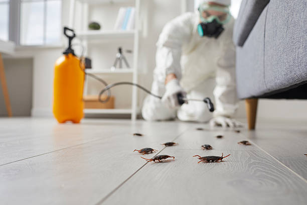 Commercial Rodent Management in Goreville